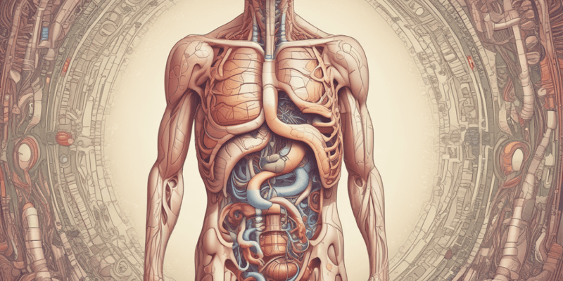 Digestive Tract: Introduction