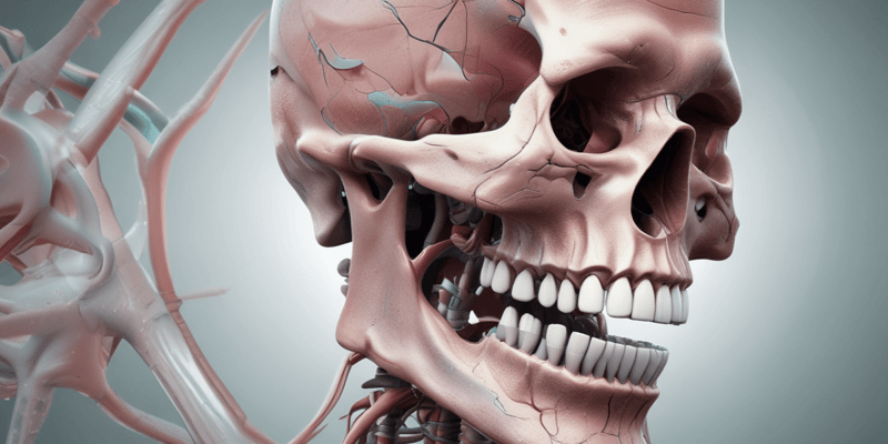 Dental Anatomy Lecture 3