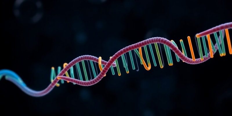 BLOCK 3: MBG: (3.6) RNA Processing & The Spliceosome