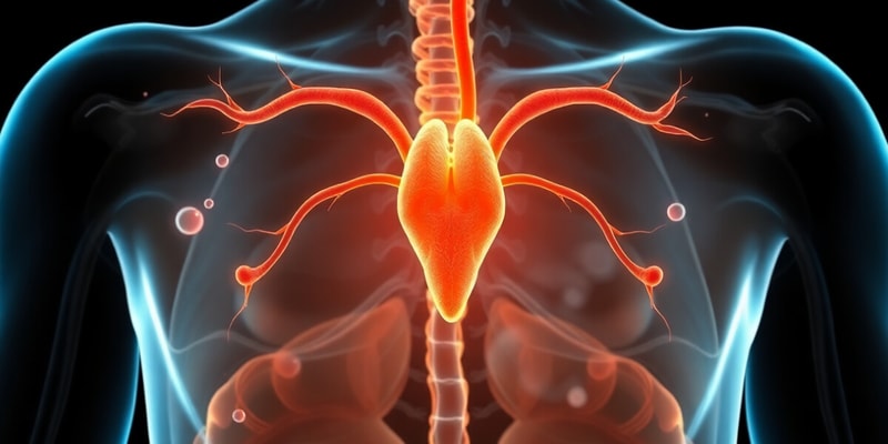 Endocrine System Overview