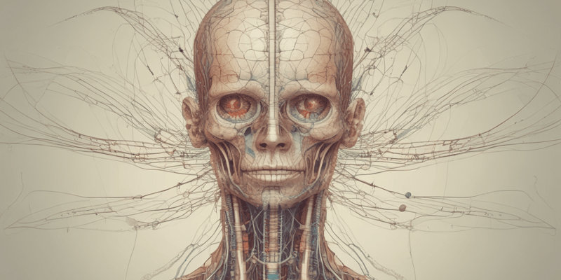 Anatomie van het zenuwstelsel: somatisch en autonoom