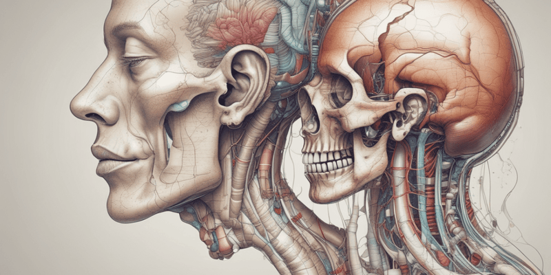 Duyu Organları ve Göz Anatomisi
