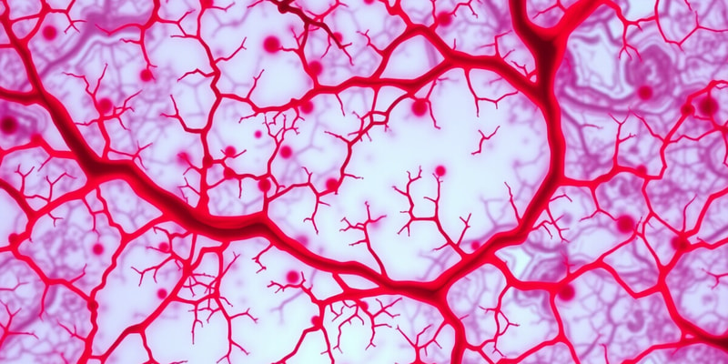 Thrombotic Microangiopathies Overview