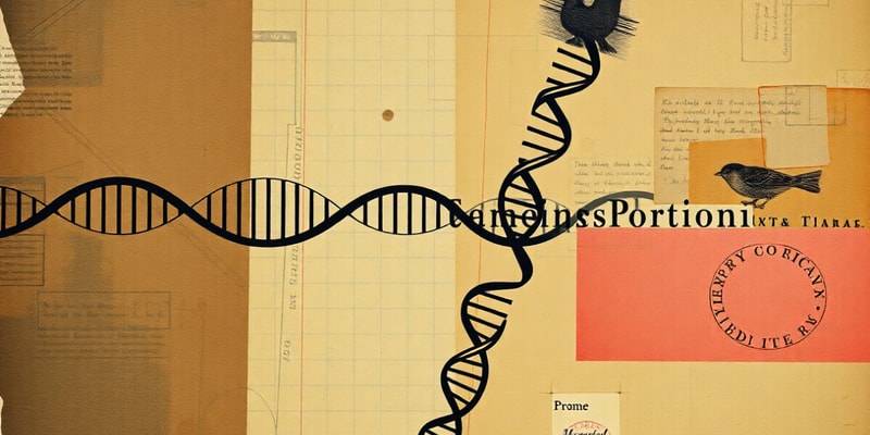 Double Stranded DNA Orientation Forward and Reverse Orientation (Exam 2)