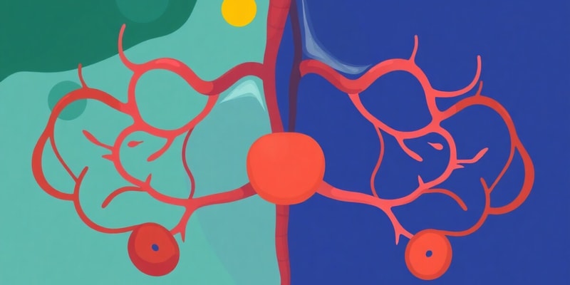 Endocrine System and Hormones