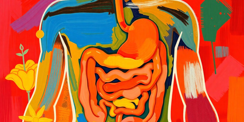 The Digestive System Quiz