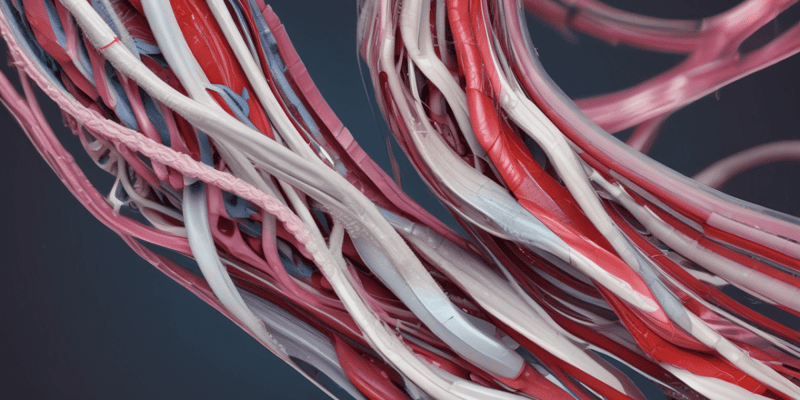 Biomechanics & Surgery: Tissue Mechanics IV Ligament / Tendon