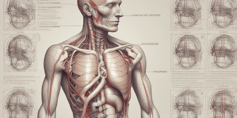 Thoracic Injuries: Pneumothorax, Hemothorax, and Hemopneumothorax