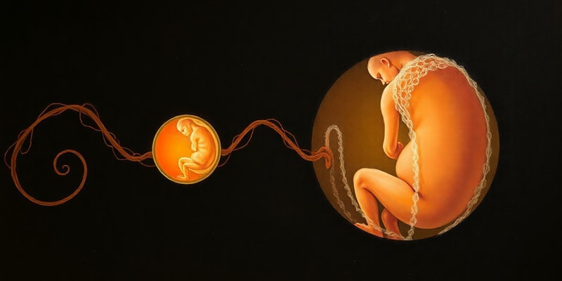 Fertilization and Early Embryo Development