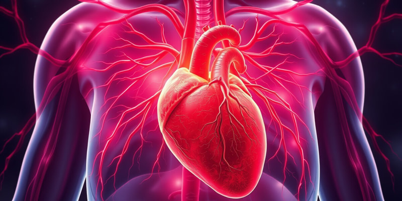 Pulmonary Circulation Overview