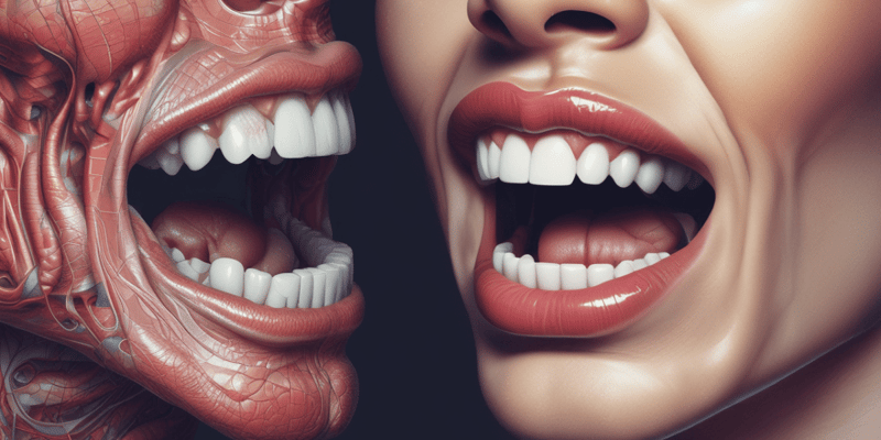 oral cavity, teeth, tongue, salivary glands, mastication muscles