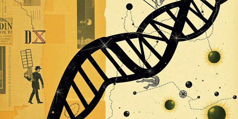 DNA Replication in Eukaryotes and Prokaryotes