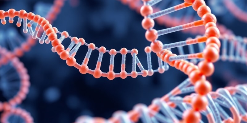 Molecular Biology Quiz: RNA and DNA Processes