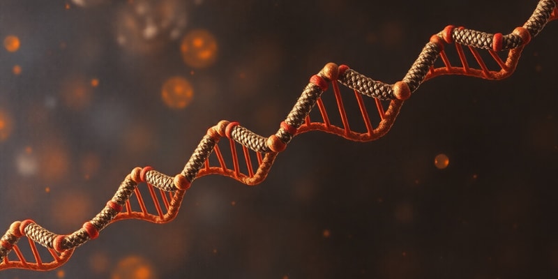 Nucleotides and Nucleic Acids Overview