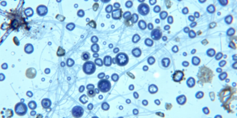 Types of Stains in Microscopy