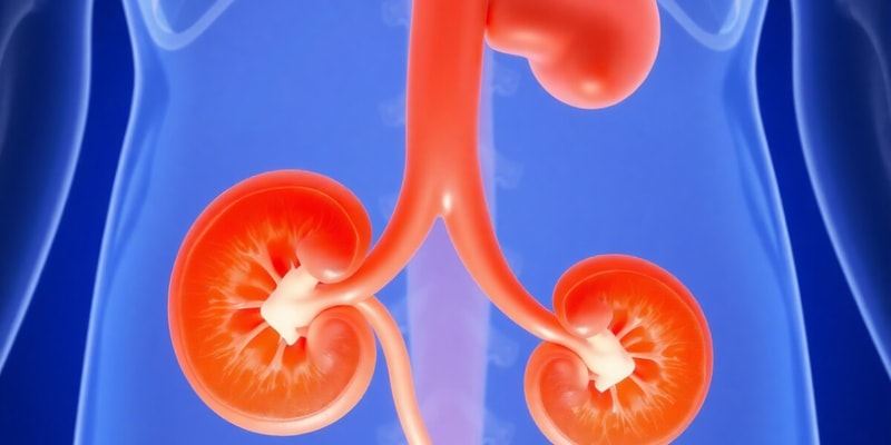 02.1 Glomerular filtration and ernal blood flow