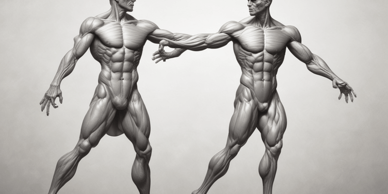 Thenar Muscles Anatomy Quiz