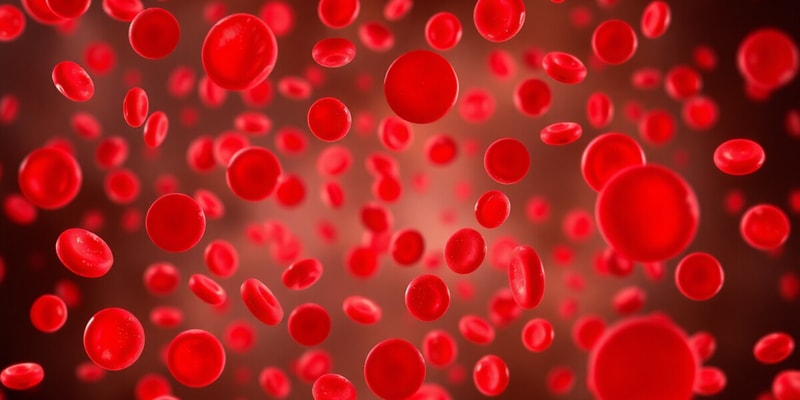 Anemia e le sue Classificazioni