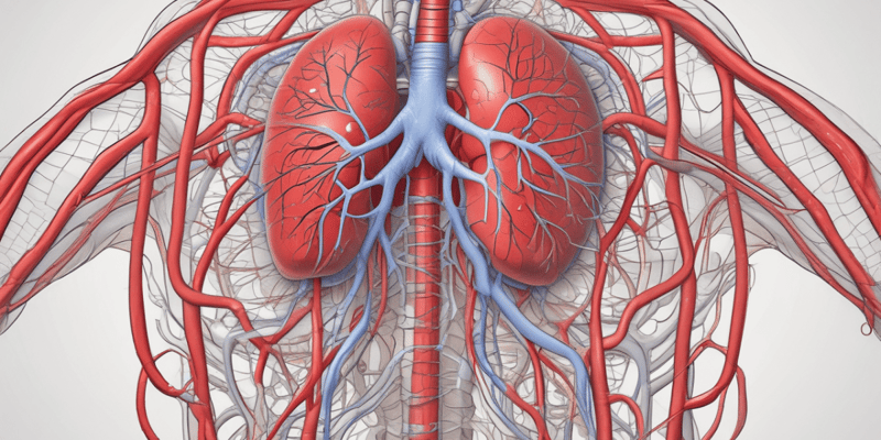 Pulmonary Circulation and Blood Volume