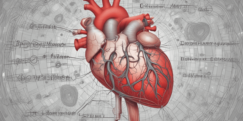 Anatomy of the Heart and Blood Vessels