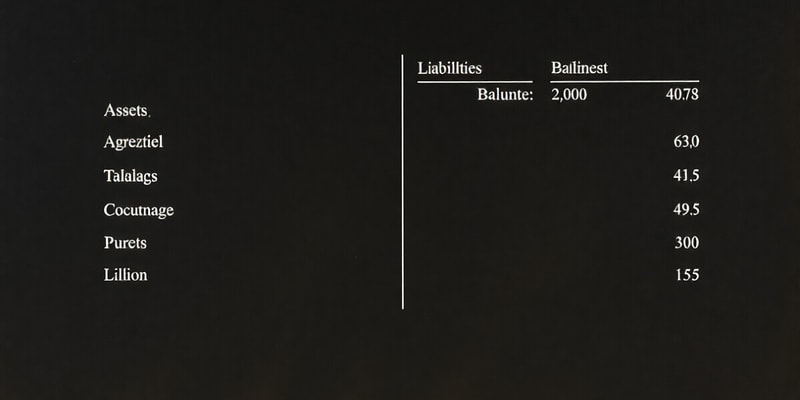 Balance Sheet Basics Quiz