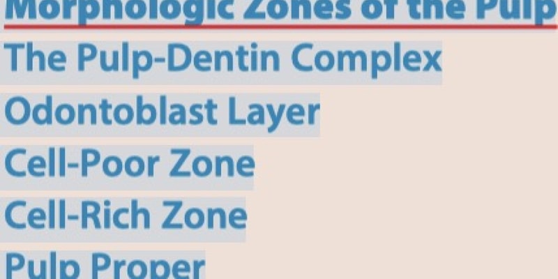 Pathway 13-1 Morphologic Zones of the Pulp