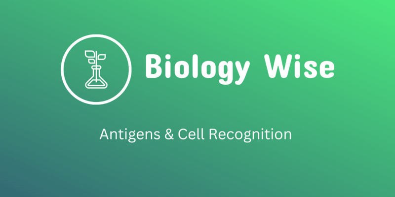 Antigens and Cell Recognition Introductory Quiz
