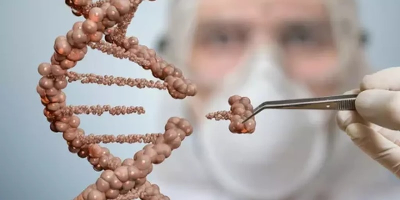 Genetics of Sex: Genetic Determination, X and Y Chromosomes, Karyotype