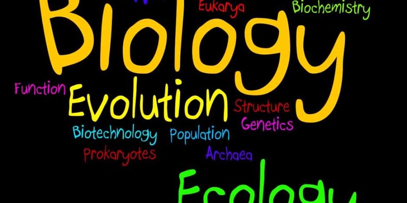 33 Things Every Biology Student should know!