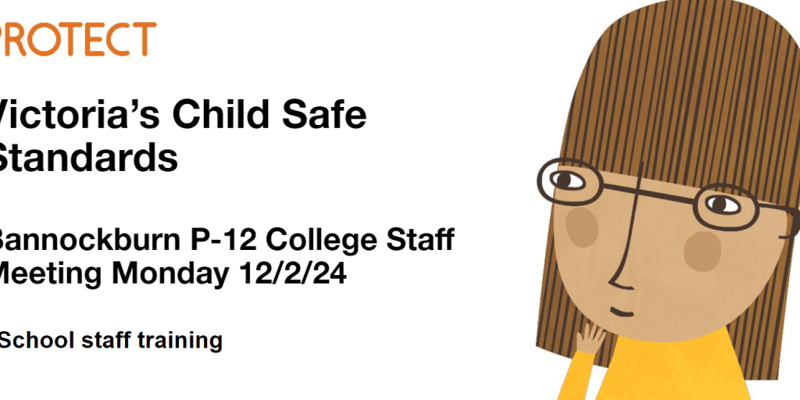 Understanding the 11 Child Safe Standards