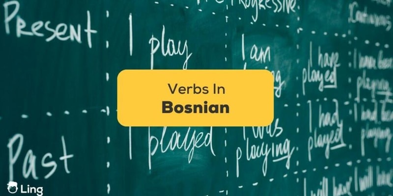 Bosnian Verb Conjugation Quiz