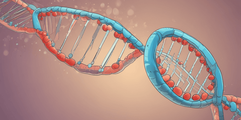 ADN et ARN : Molécules Essentielles