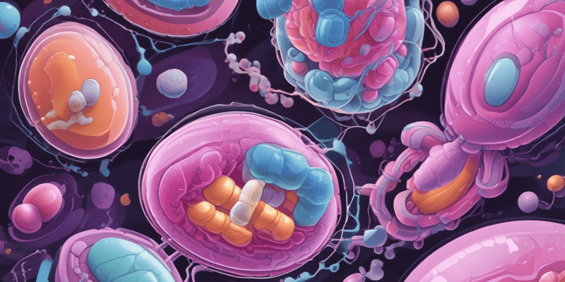 Antibiotic Resistance and Beta-Lactamase Inhibitors