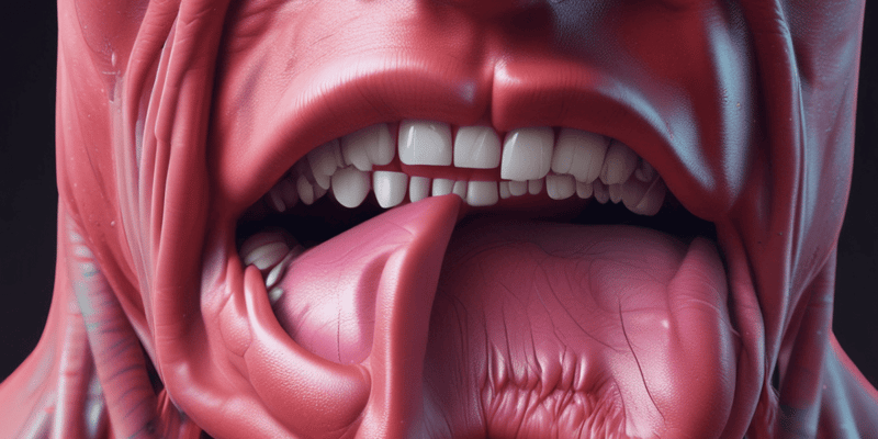 Anatomy of the Tongue Muscles