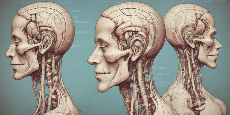 BDS2: Brainstem & Cranial Nerves