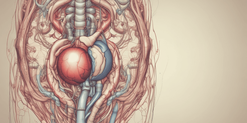 Pelvic Viscera: Urinary Organs