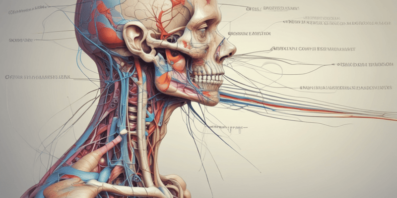 Anatomy LE 5: Autonomic and Peripheral Nervous Systems