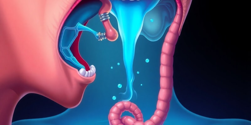 Mastication, Deglution and Dysphagia