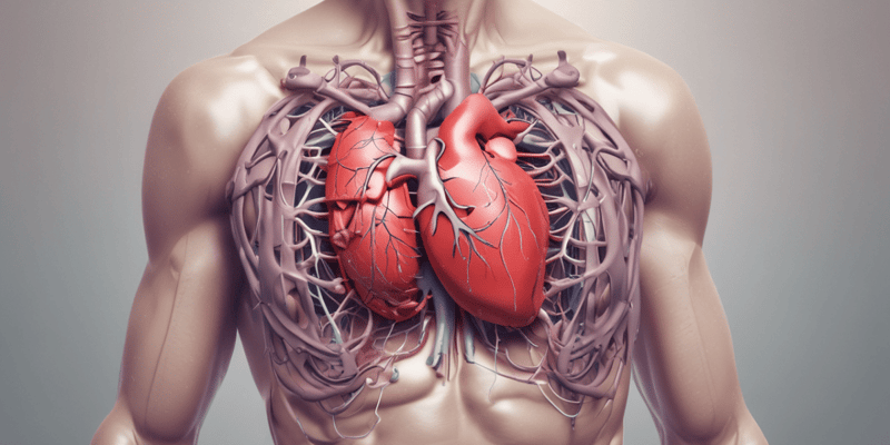 Chest Pain Classification: Cardiac and Non-Cardiac Causes