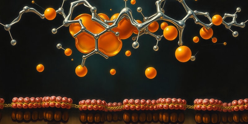 Cholesterol and Vitamin D Synthesis Quiz