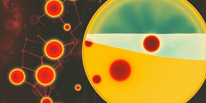 Hemoglobin Synthesis and Citrate Agar Electrophoresis