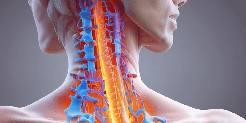 Degenerative Disc Diseases of the Cervical Spine