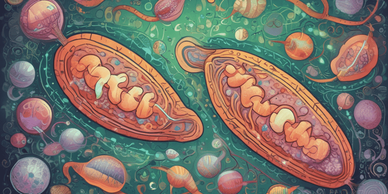 DIPLOMA CM4 Mitochondries et Maladies