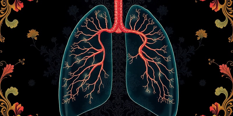 Human Respiratory and Circulatory Systems