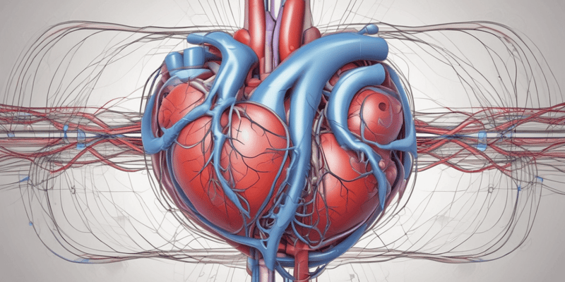 Cardiac Conduction System and Arrhythmias