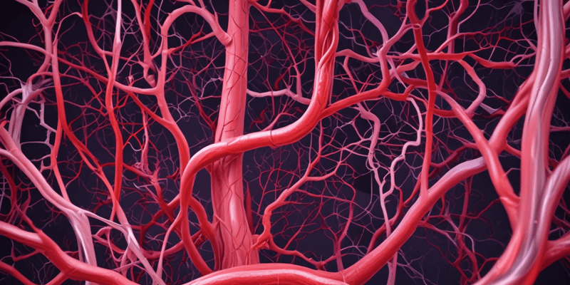 Blood Vessels Anatomy and Function Quiz
