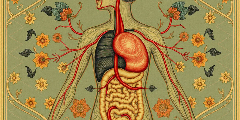 Sistema Circulatorio y Digestivo