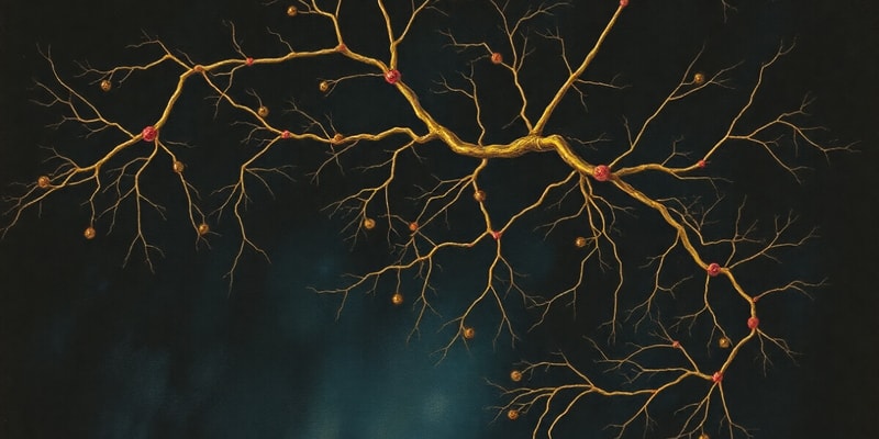 Neurotransmission and Synapses