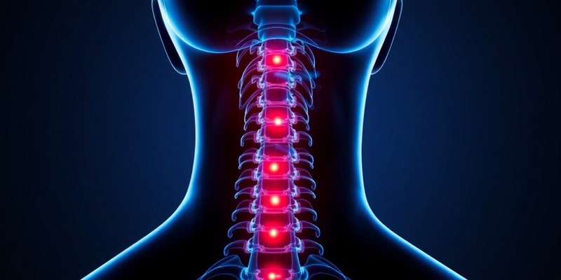 Neck Pain and Radiculopathy Quiz