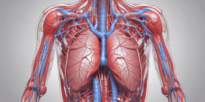 Ninja Nerd - Circulatory System | Pulmonary Circulation